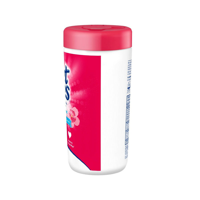 Wet Ones Antibacterial Hand Wipes Canister - Fresh Scent - 40ct
