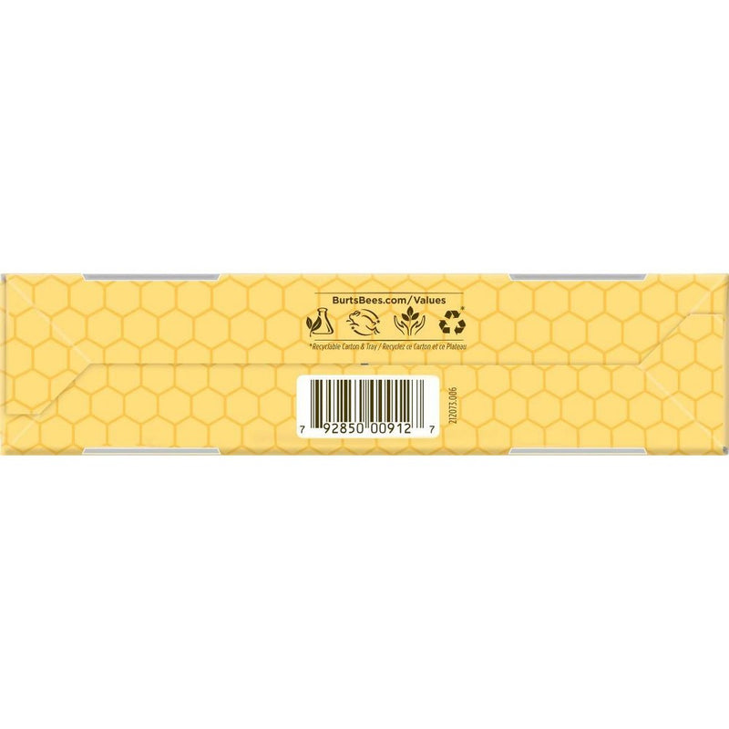 Burts Bees Tips and Toes Kit