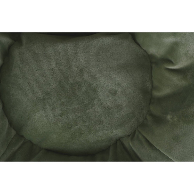 Dinosaur Bean Bag Chair - Pillowfort (LOCAL PICKUP ONLY)