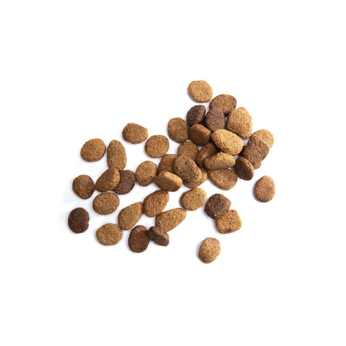 Iams Proactive Health Chicken Large Breed Mature Senior Premium Dry Dog Food - 15lbs (LOCAL PICKUP ONLY)