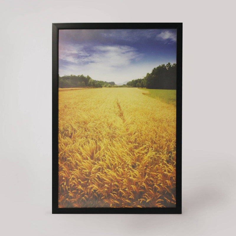 20" x 30" Profile Poster Frame Black - Room Essentials (LOCAL PICKUP ONLY)
