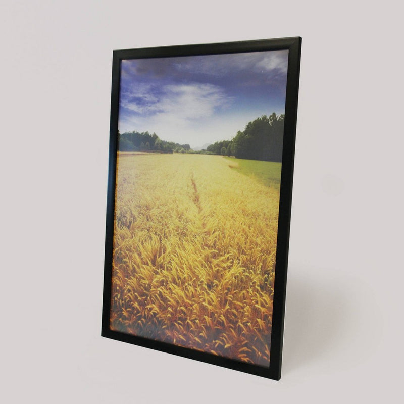 20" x 30" Profile Poster Frame Black - Room Essentials (LOCAL PICKUP ONLY)