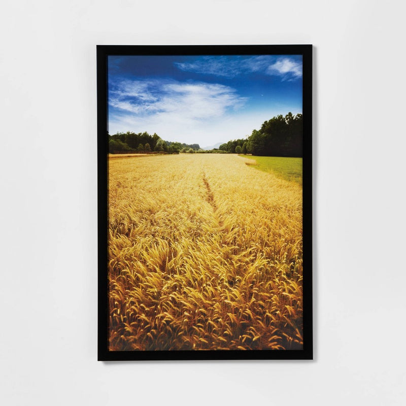 20" x 30" Profile Poster Frame Black - Room Essentials (LOCAL PICKUP ONLY)