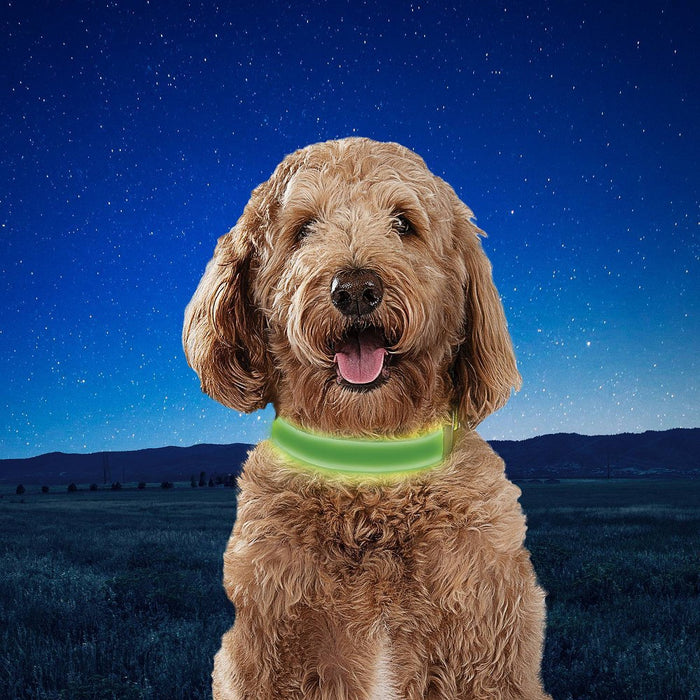 Nite Ize Dog Rechargeable LED Dog Collar - M - Lime/Green