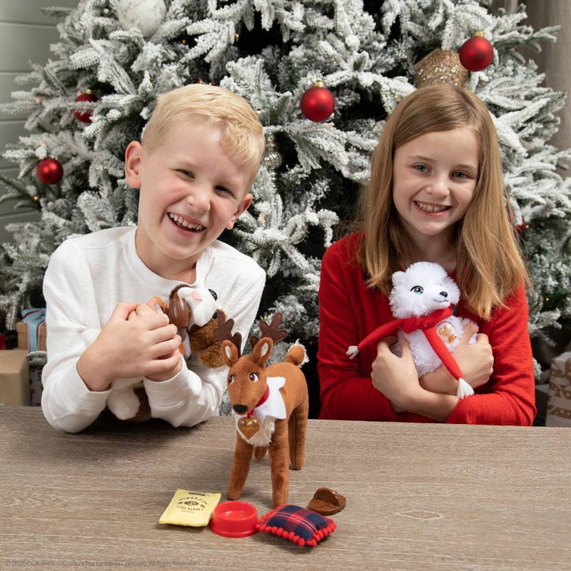Elf Pets: An Arctic Fox Tradition