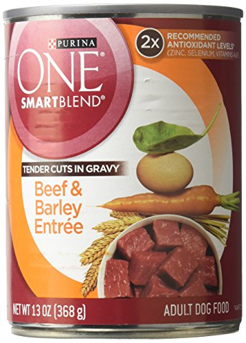Purina One Tender Cuts Gravy And Beef Food, 13 Oz.