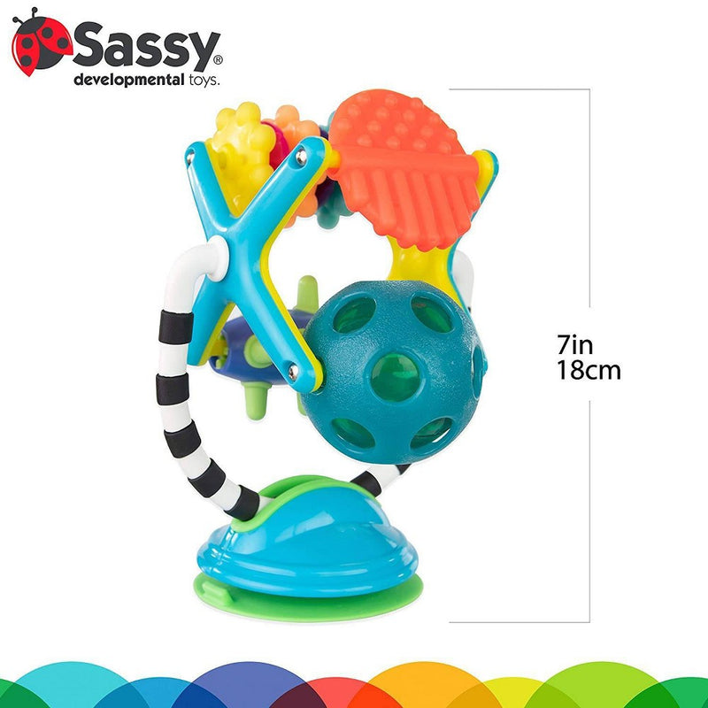 Sassy Teethe & Twirl Sensation Station Tray Toy