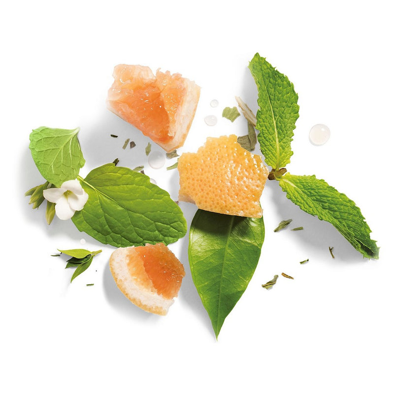 Herbal Essences bio:renew White Grapefruit & Mint Volumizing Conditioner - 13.5 fl oz