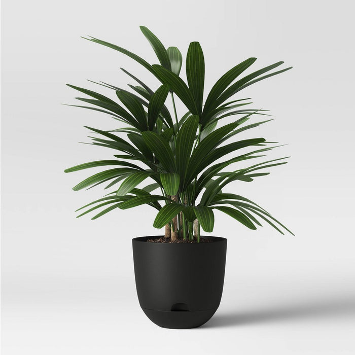 12" Indoor/Outdoor Self-Watering Planter Black - Room Essentials
