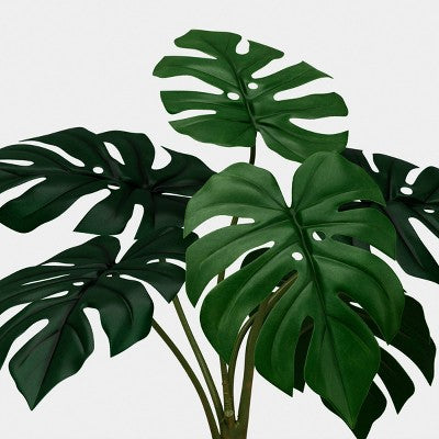 13" Monstera Plant - Room Essentials (LOCAL PICKUP ONLY)