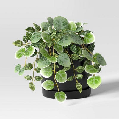 Recycled Resin Indoor Outdoor Planter Pot Black 6"x6"x6" - Room Essentials
