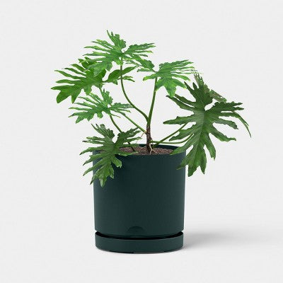 Recycled Resin Indoor Outdoor Planter Green 8" - Room Essentials