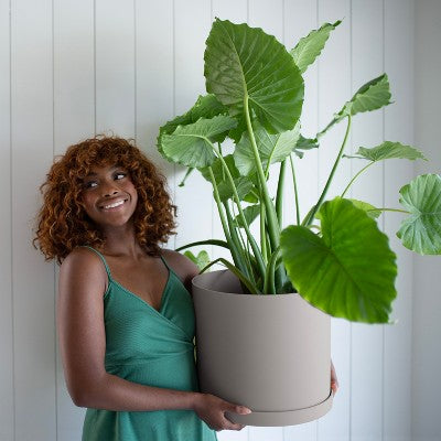 Bloem Mathers 12" Modern Plastic Planter with Saucer, Pebble Stone