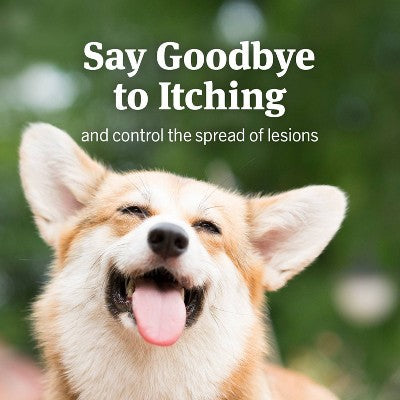 PetArmor Anti-Itch Spray for Dogs & Cats - 4 fl oz