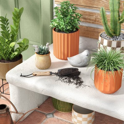 Geared Terracotta Indoor Outdoor Planter Pot Orange 5.88"x5.88" - Threshold