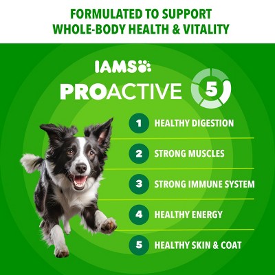 IAMS Proactive Health Minichunks Chicken and Whole Grain Adult Dry Dog Food - 38.5lbs (LOCAL PICKUP ONLY)