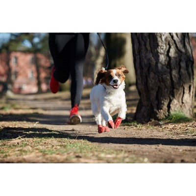 Pawz 12pc Rubber Dog Boots - Red S: Pullover Style, Textile Material, Small Size, Pet Footwear
