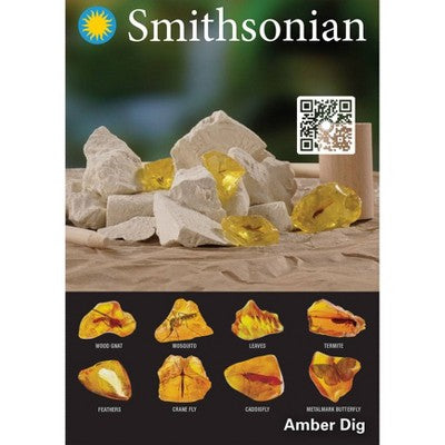 Smithsonian Amber Dig Value Kit