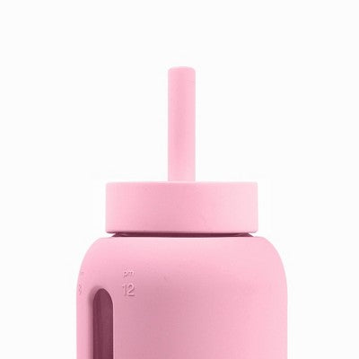 Bink 27oz Day Water Bottle Straw Cap Orchid