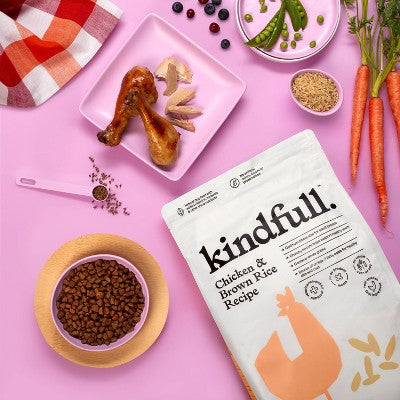 Chicken & Brown Rice Recipe Small Breed Dry Dog Food - 13lbs - Kindfull