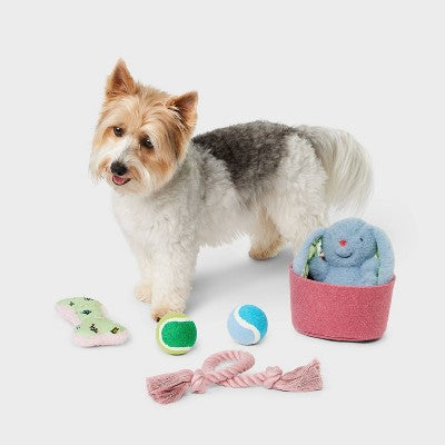 Gift Basket Dog Ball Plush Toy Set - 5pc - Boots & Barkley