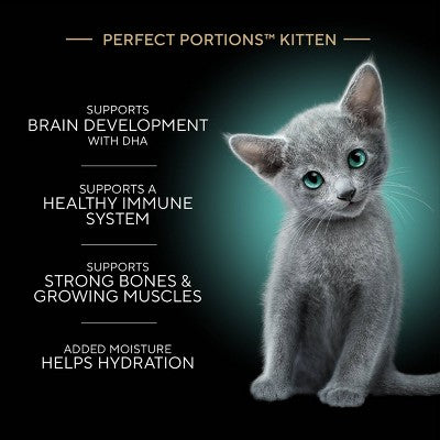 Sheba Perfect Portions Salmon Flavor Soft Pate Kitten Wet Cat Food - 2.64oz