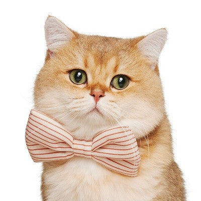 Dog and Cat Bowtie Set - Stripes/Checkerboard - The Cuddle Collab with Maple Cat