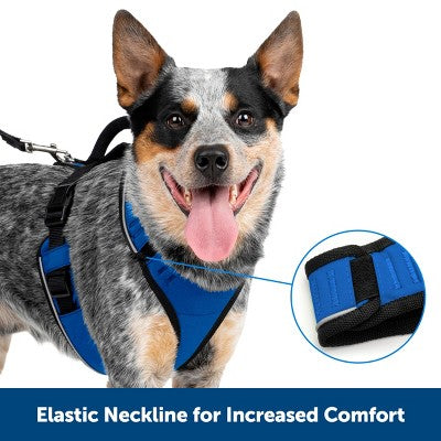 PetSafe EasySport Adjustable Dog Harness - M - Blue
