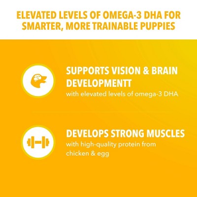 IAMS Proactive Health Chicken and Whole Grains Flavor Puppy Dry Dog Food - 7lbs