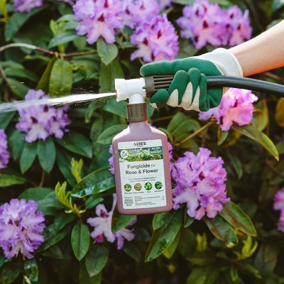 Arber Organic Fungicide for Rose and Flower