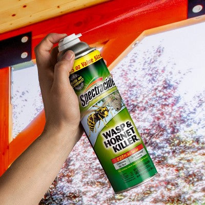 Spectracide 2pk Wasp and Hornet Insecticide - 2ct/18.5oz each