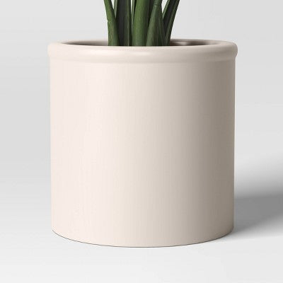 Large Banana Leaf Potted Plant - Threshold (LOCAL PICKUP ONLY)
