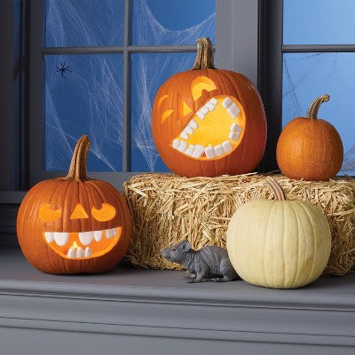 10pc Silly Push in Teeth Carving Halloween Decorative Prop Kit White - Hyde and EEK! Boutique