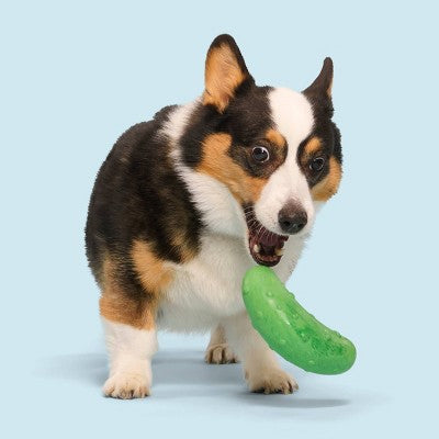 BARK Super Chewer Pickle Stickle Pickle Dog Toy