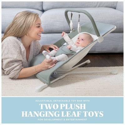 Baby Delight Highland Portable Bouncer - Organic Sage: Folds for Easy Transport, 3-Point Harness, Steel Frame
