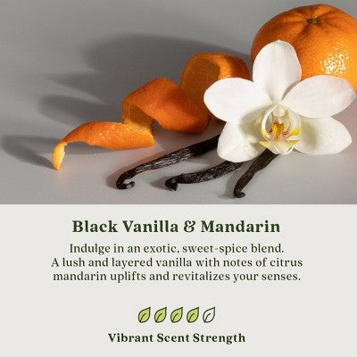 Enviroscent Auto Stix 2pk Black Vanilla and Mandarin: Car Freshener Sticks, Non-Toxic, Cruelty-Free, Disposable