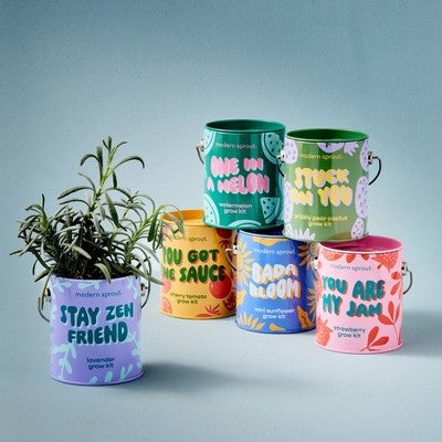 Modern Sprout Watermelon Complimentary Color Grow One in a Melon Seed Starter Kit