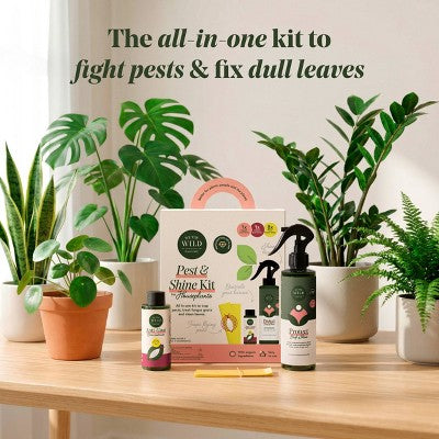 WE THE WILD Pest & Shine Kit Organic Chemical-Free Easy 3-Step Care For Houseplants