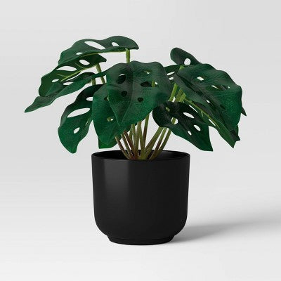 Trend Plant Multipack in Black Pot - Room Essentials