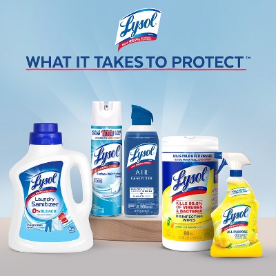 Lysol Laundry Sanitizer Lavender Fusion - 21 fl oz