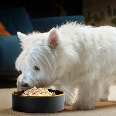 Cesar Wholesome Bowls Chicken, Potato, Carrot, Vegetable and Beef Flavor Variety Pack Small Breed Wet Dog Food - 3oz/6ct