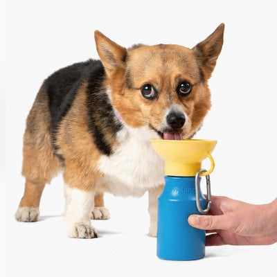 Springland 15 fl oz Mini Travel Dog Water Bottle - Blueberry/Yellow