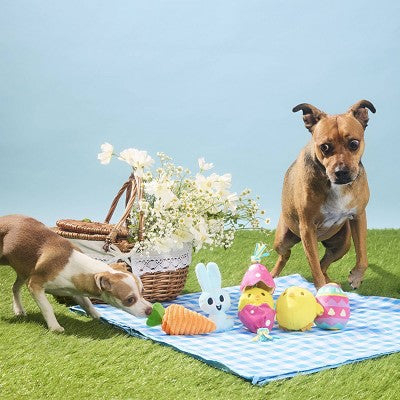 BARK Easter 2.75" Peep-a-Bird Dog Animal Rope Toy