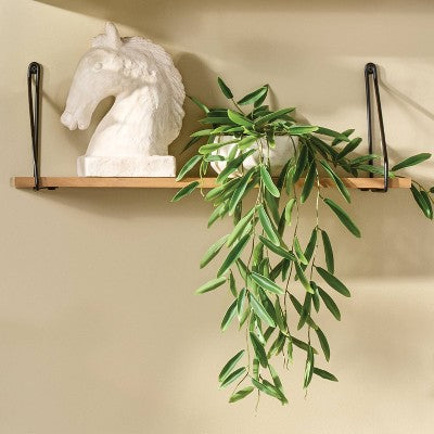 Trailing Leaf Plant - Threshold