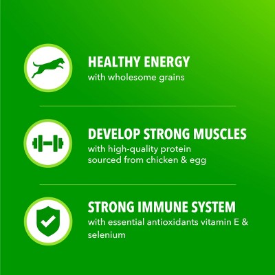 IAMS Proactive Health Chicken and Whole Grain Flavor Minichunks Dry Dog Food - 40lbs (LOCAL PICKUP ONLY)