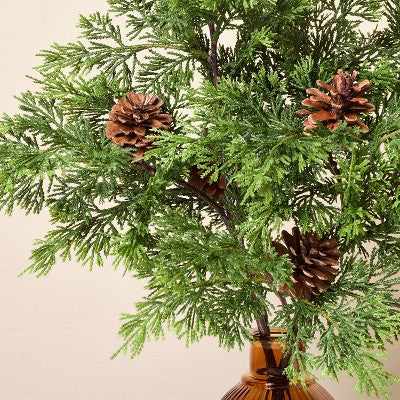 22" Cedar and Pinecones in Ribbed Amber Vase Artificial Arrangement - Hearth & Hand with Magnolia