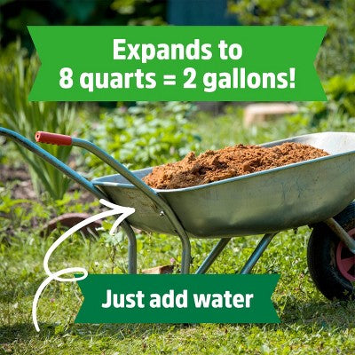 Back to the Roots 8qt Organic Expanding Seed Starting Soil Premium 100% Coconut Coir