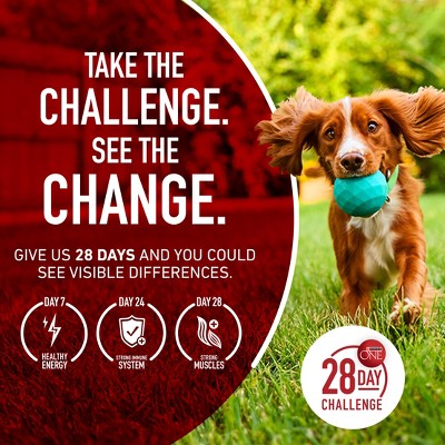 Purina ONE SmartBlend Small Bites Beef & Rice Formula Adult Dry Dog Food - 8lbs