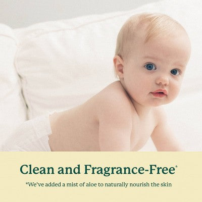 EcoPeaCo. Bamboo Disposable Diapers Made with Organic Bamboo and Viscose - Trial and Travel - Size 3 - 8ct