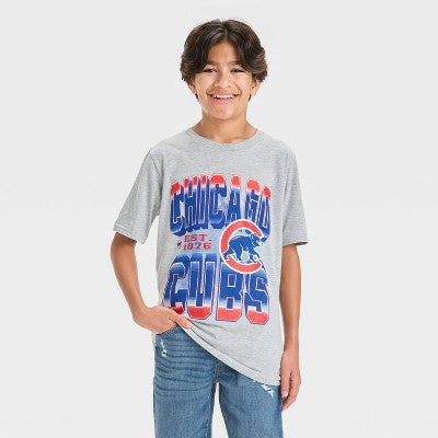 Boys' 4th of July MLB Chicago Cubs Short Sleeve Graphic T-Shirt - Gray M: Cotton, Crew Neck, Team Logo, Medium
